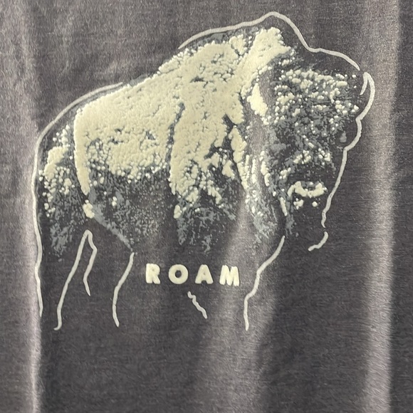 Roam Graphic Men's T-Shirt - Charcoal Gray Size M - Picture 3 of 4